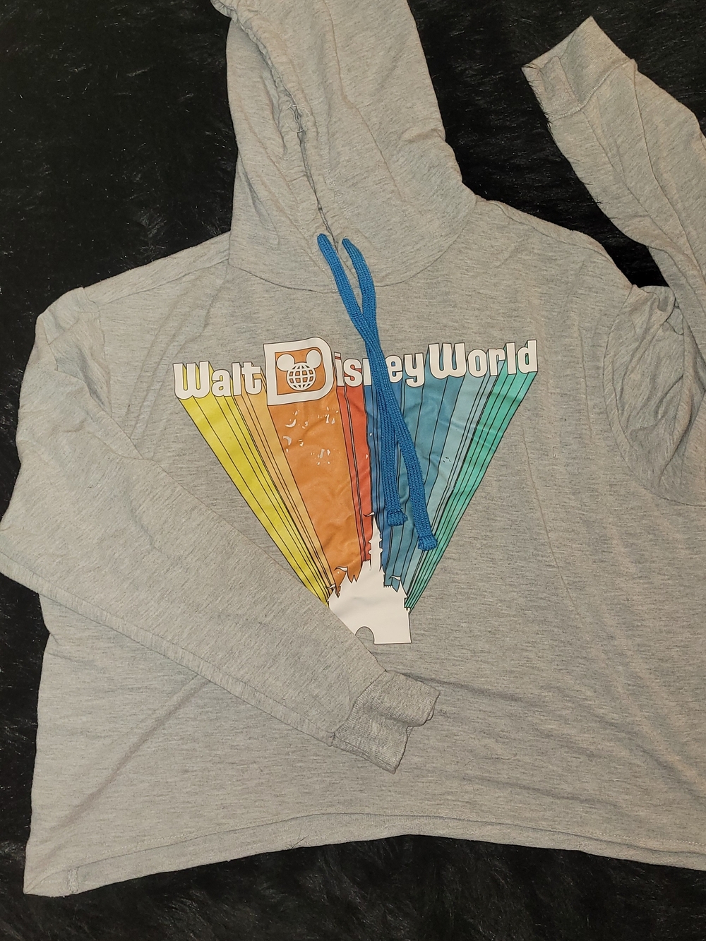 Walt Disney World Grey Hoodie with Rainbow Castle Graphic